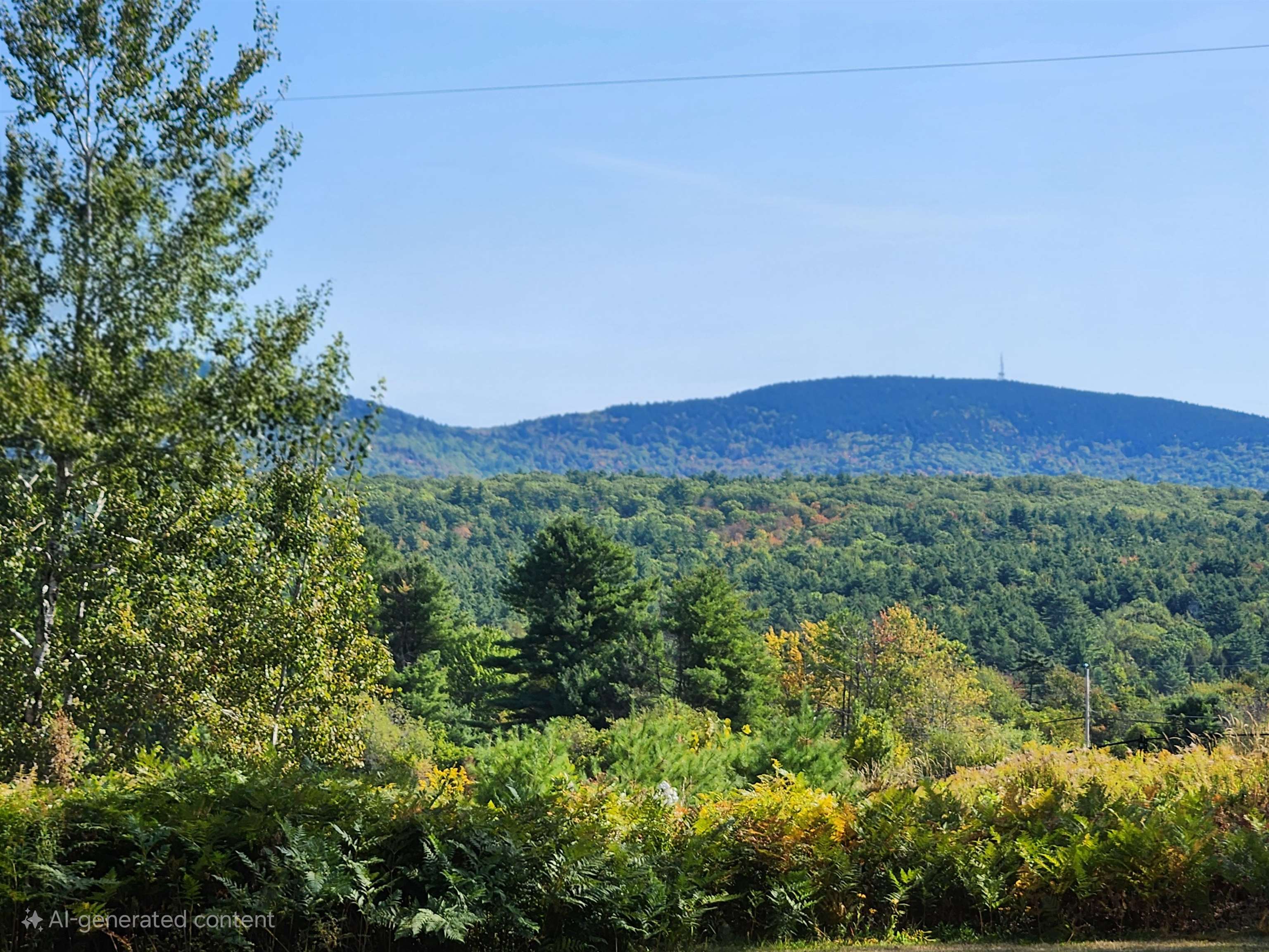 128 Cotton Hill Road Gilford, NH 03249 - Photo 6 of 52 Gallery Image 6