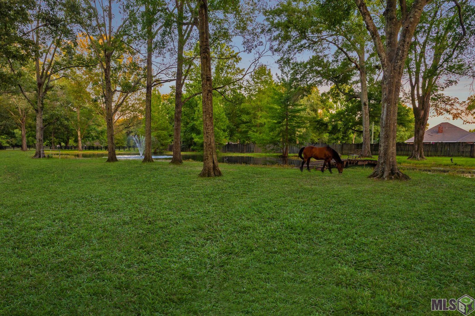 19919 Tucker Road Zachary, LA 70791 - Photo 35 of 43