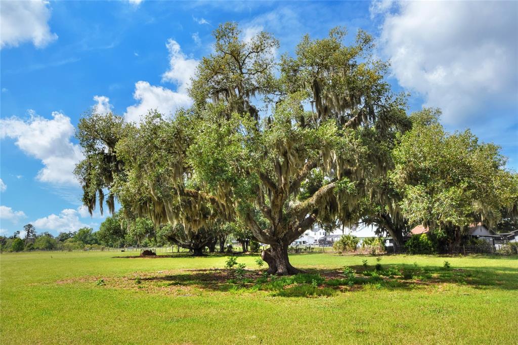 0 Dorman Road Lithia, FL 33547 - Photo 3 of 9