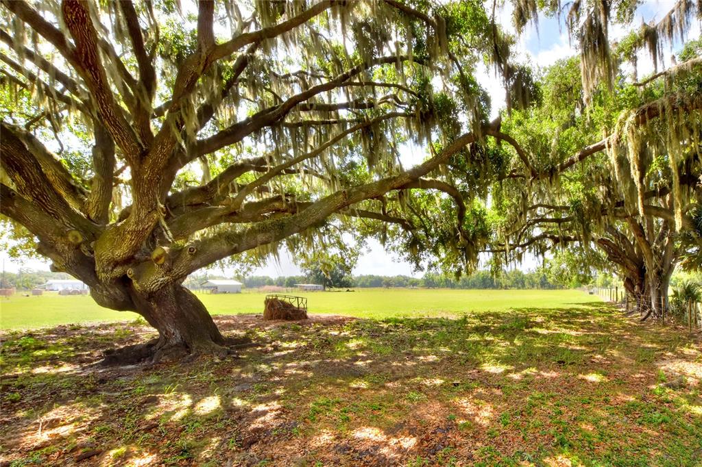 0 Dorman Road Lithia, FL 33547 - Photo 6 of 9