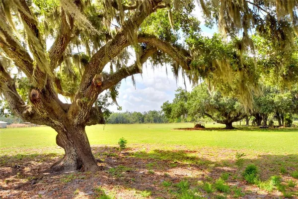 $850,000 | 0 Dorman Road, Lithia, FL 33547