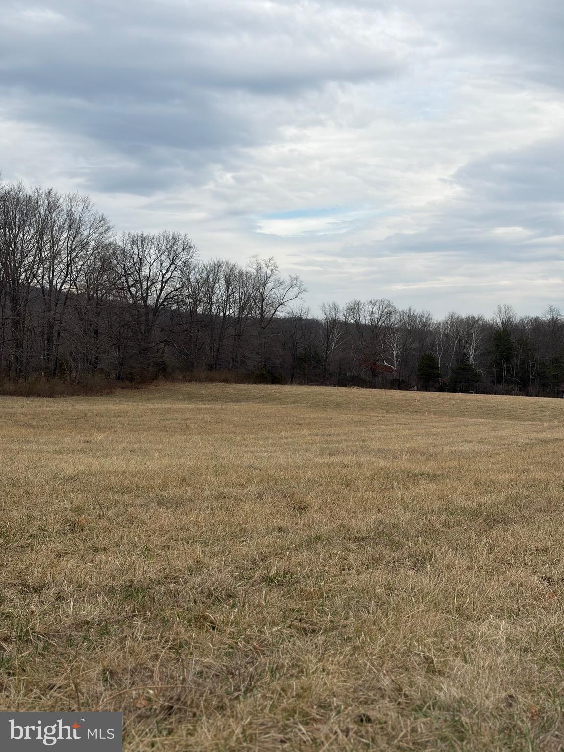 Zepp Road Maurertown, VA 22644 - Photo 3 of 10