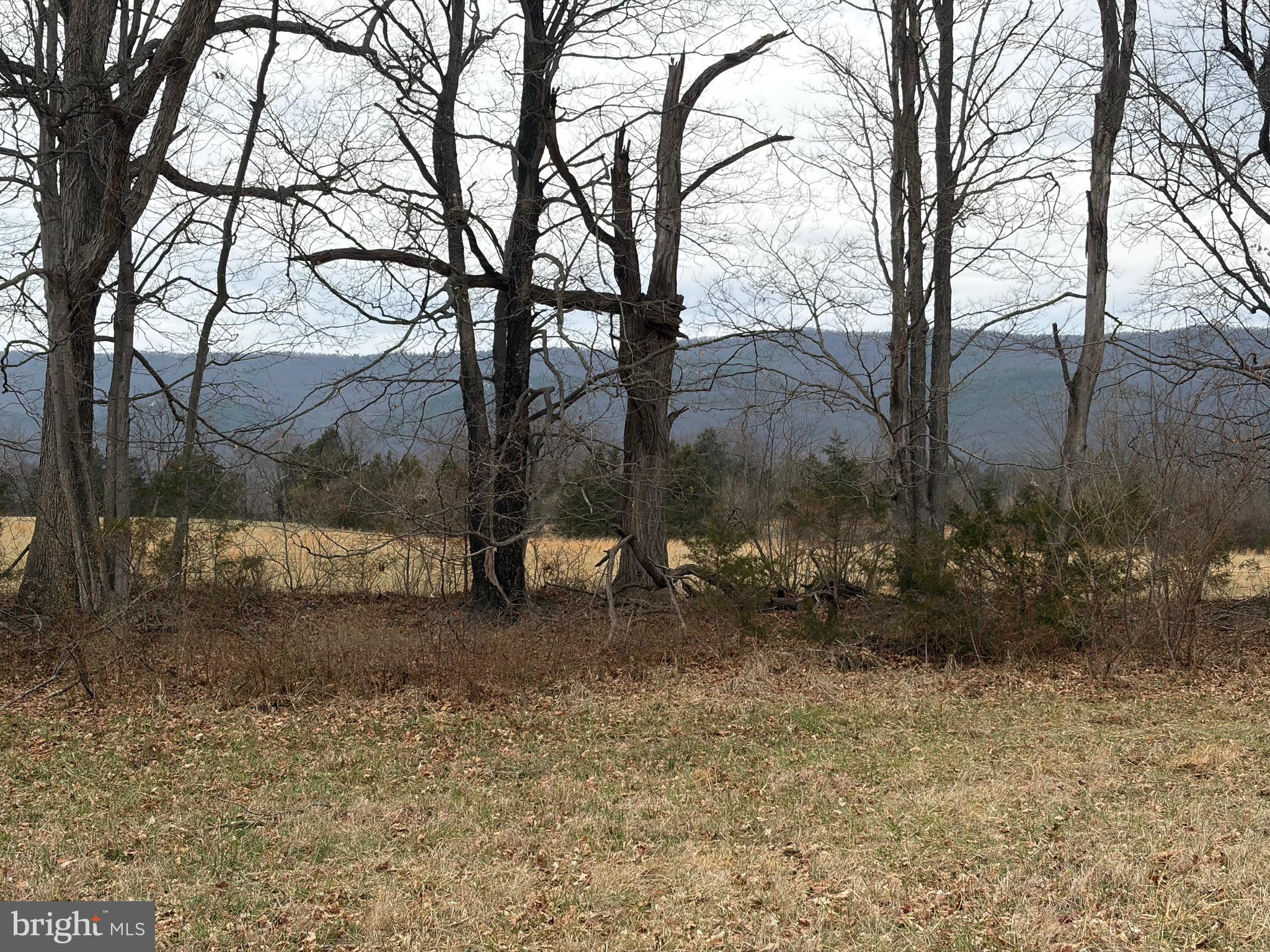 Zepp Road Maurertown, VA 22644 - Photo 4 of 10