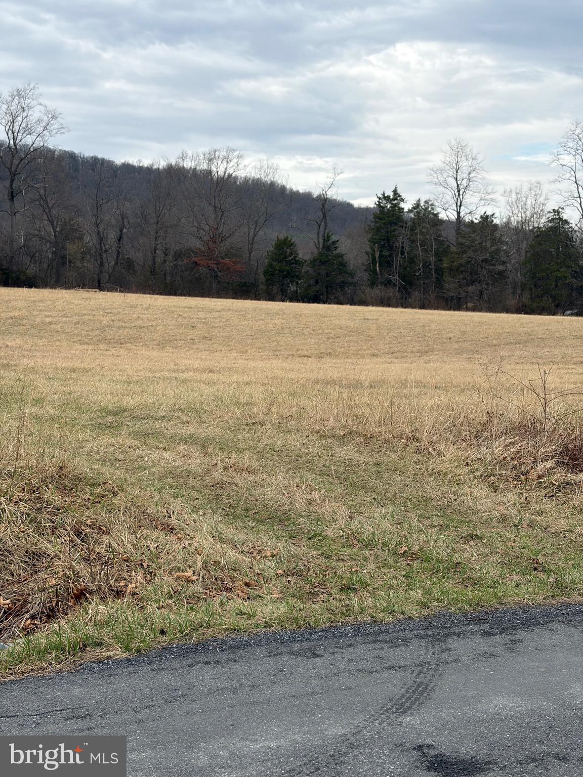 Zepp Road Maurertown, VA 22644 - Photo 7 of 10