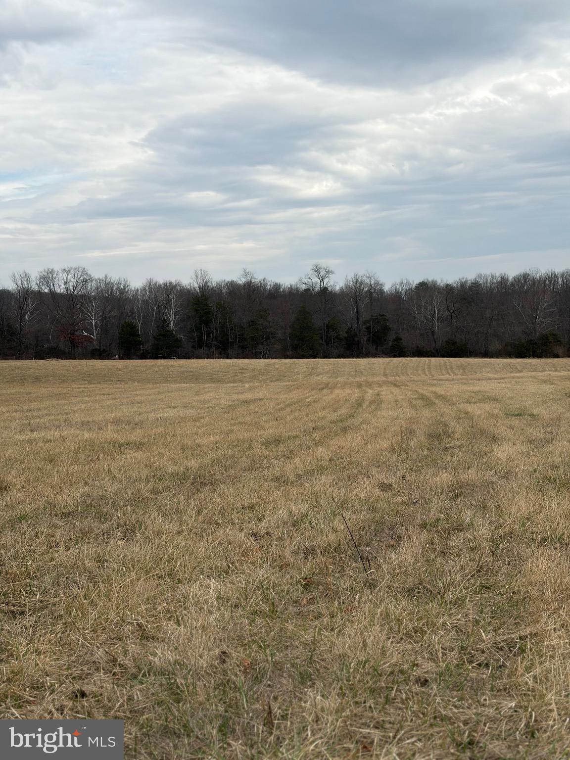 Zepp Road Maurertown, VA 22644 - Photo 8 of 10