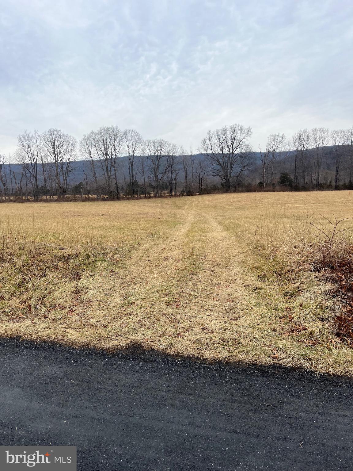 Zepp Road Maurertown, VA 22644 - Photo 10 of 10