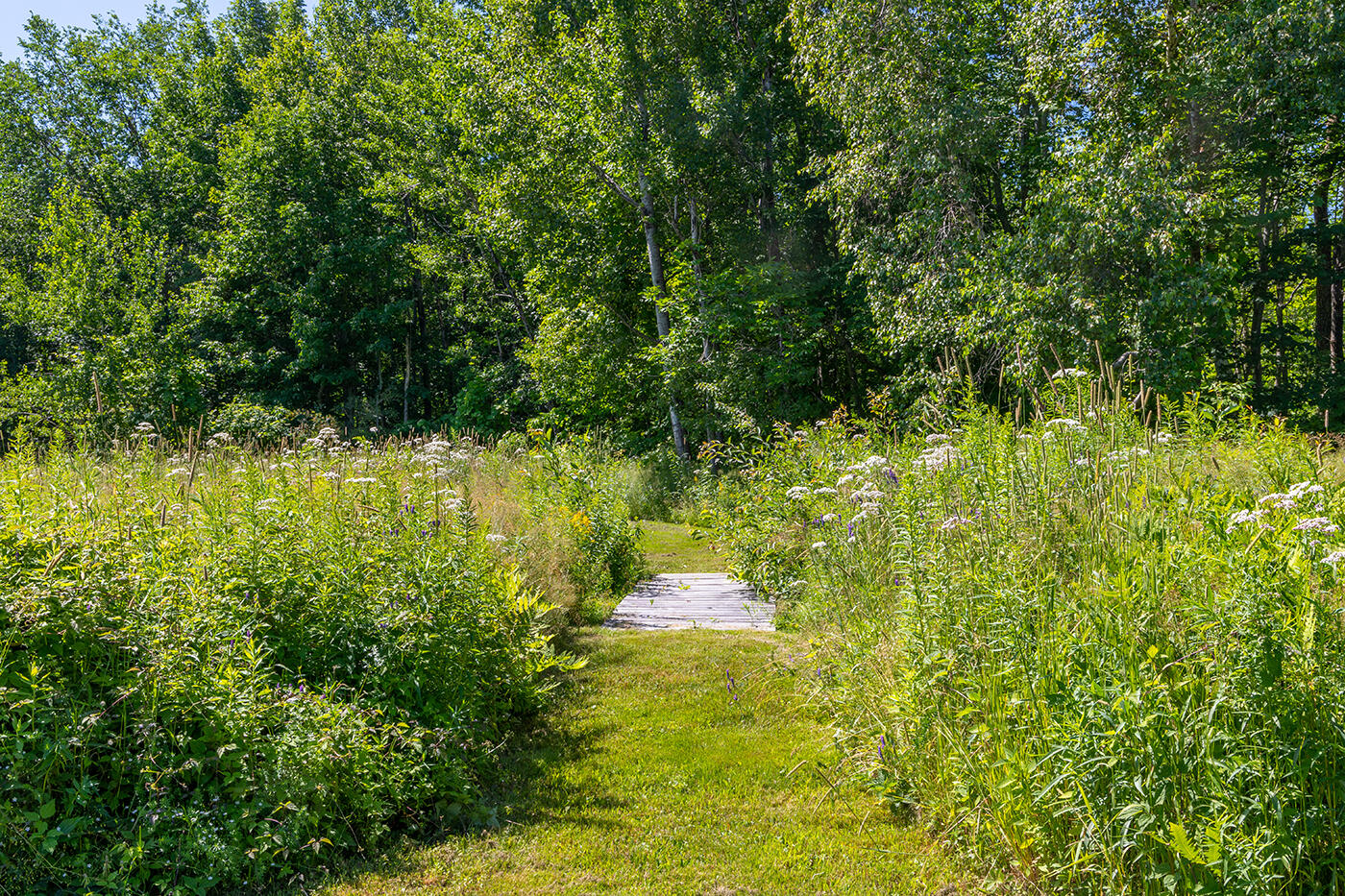 54 Bull Hill Road Hope, ME 04847 - Photo 66 of 69 IMG_2926