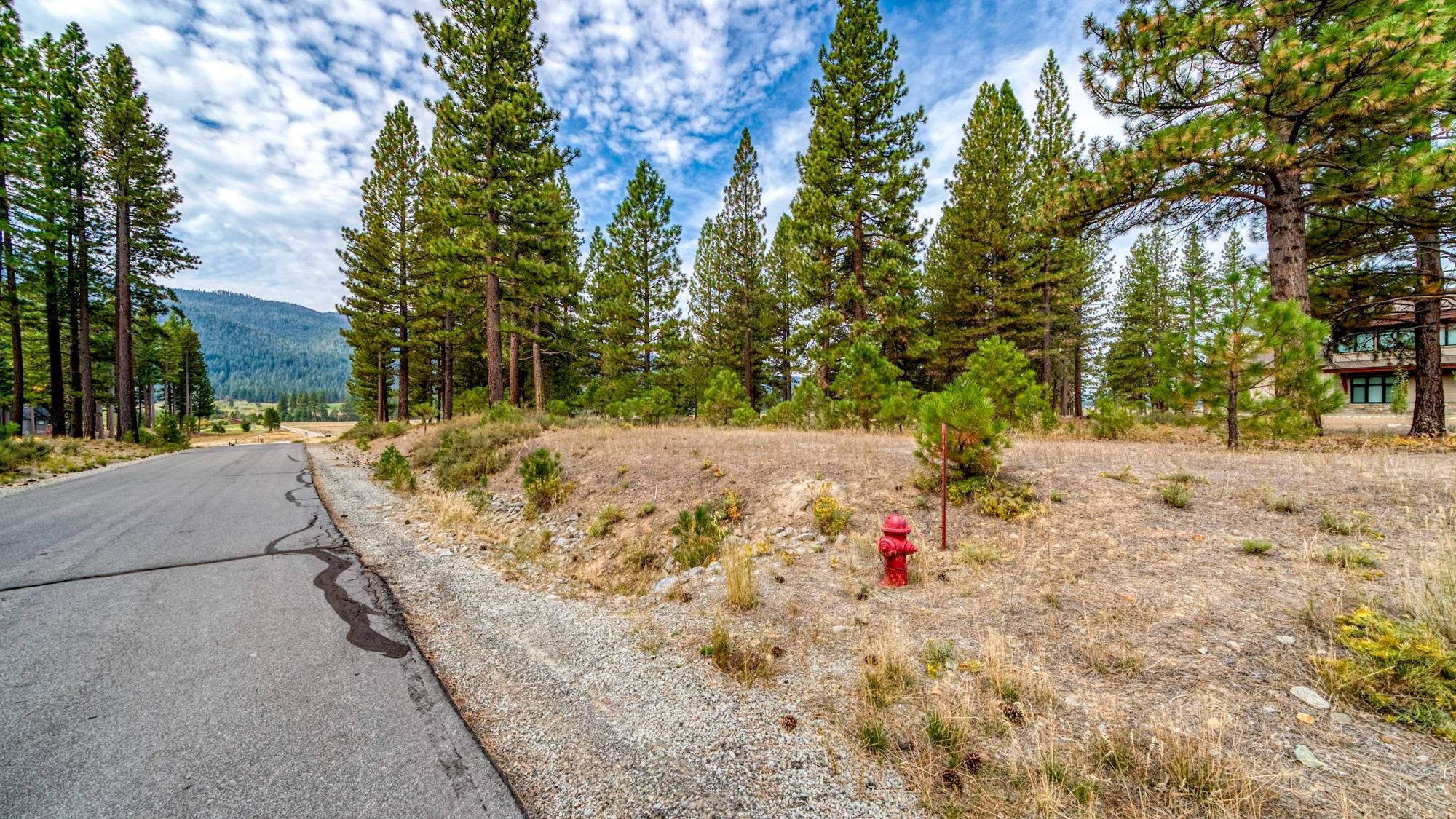 503 Redtail Loop Road Clio, CA 96106 - Photo 6 of 38 Gallery Image 6
