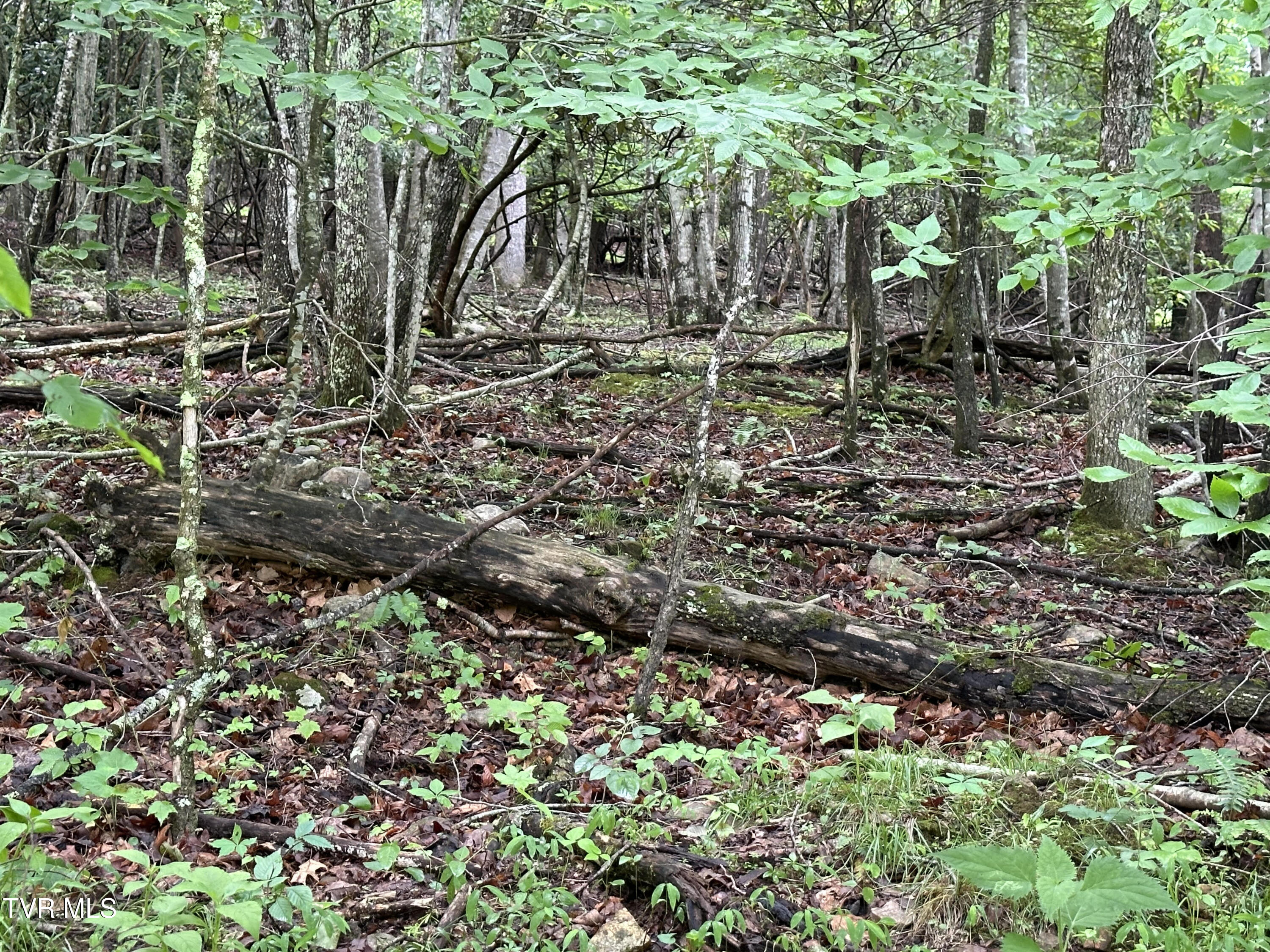 Lot 8 High Country Road, Unit 8 Butler, TN 37640 - Photo 13 of 15 Butler 11