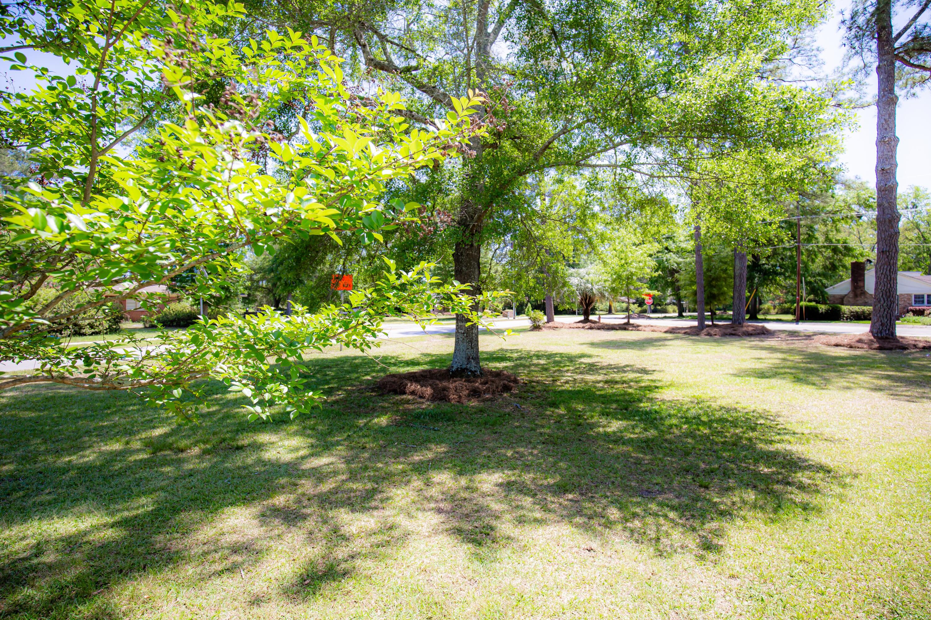 30 Oak Street Bamberg, SC 29003 - Photo 18 of 20