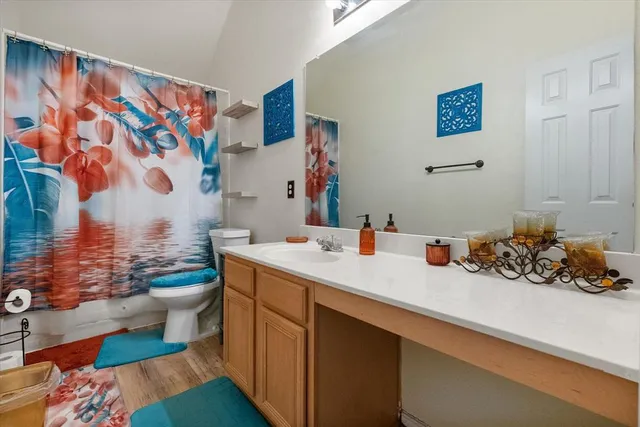 a bathroom with a sink mirror and toilet