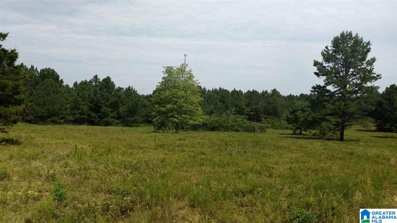 0 Highway 27 Springville Al Springville, AL 35146 - Photo 8 of 12