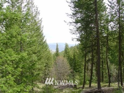 199 Old Cabin Road Winthrop, WA 98862 - Photo 1 of 1 Gallery Image 1