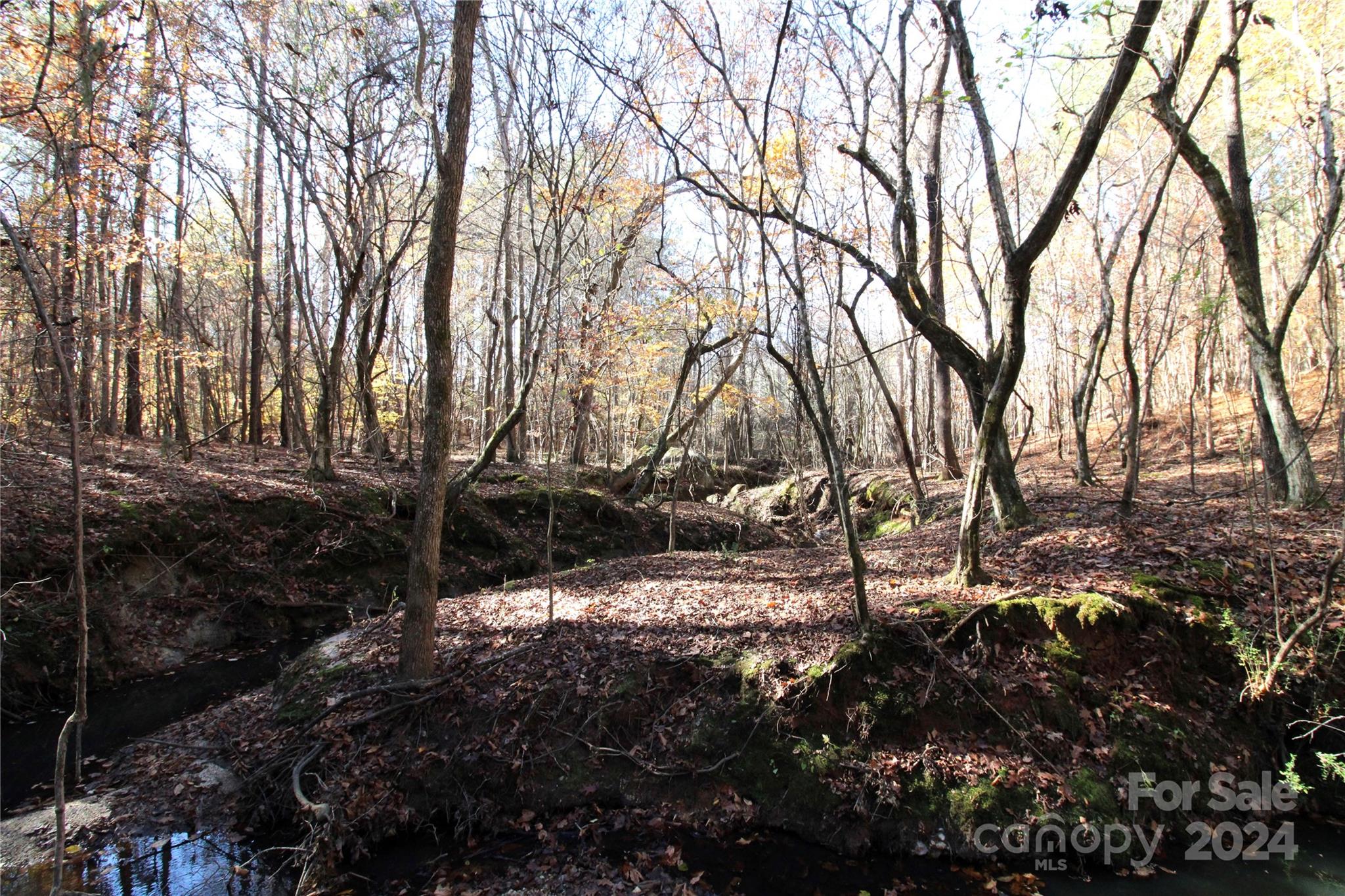 40-ac Lot 6 40-ac Road Clover, SC 29710 - Photo 3 of 12 Gallery Image 3