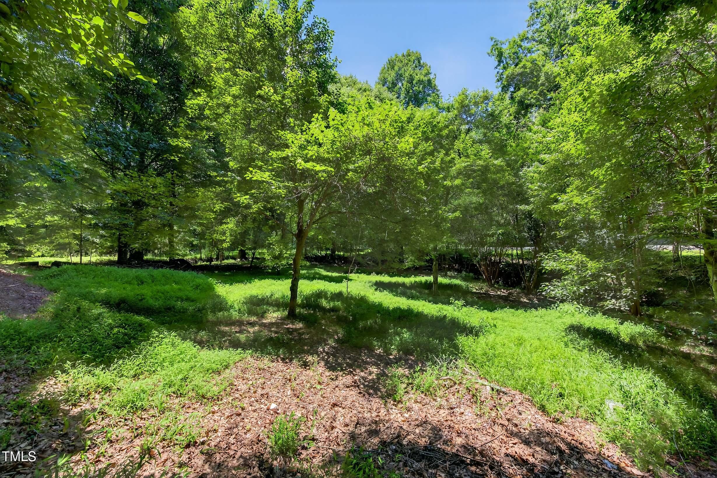 3263 South Jim Minor Road Haw River, NC 27258 - Photo 38 of 46 3263 South Jim Minor-41