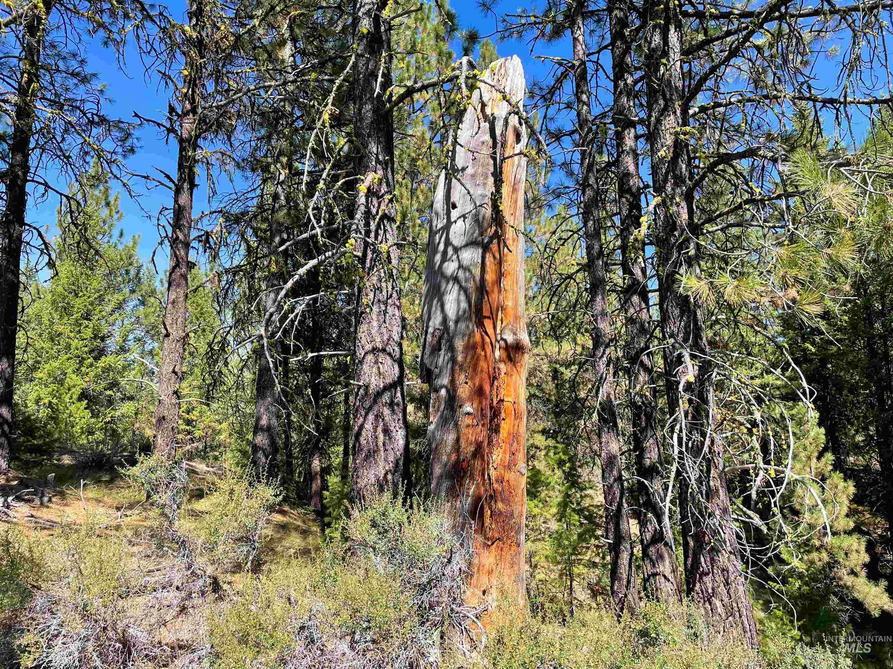 1-3 Horsethief Road Cascade, ID 83611 - Photo 10 of 11