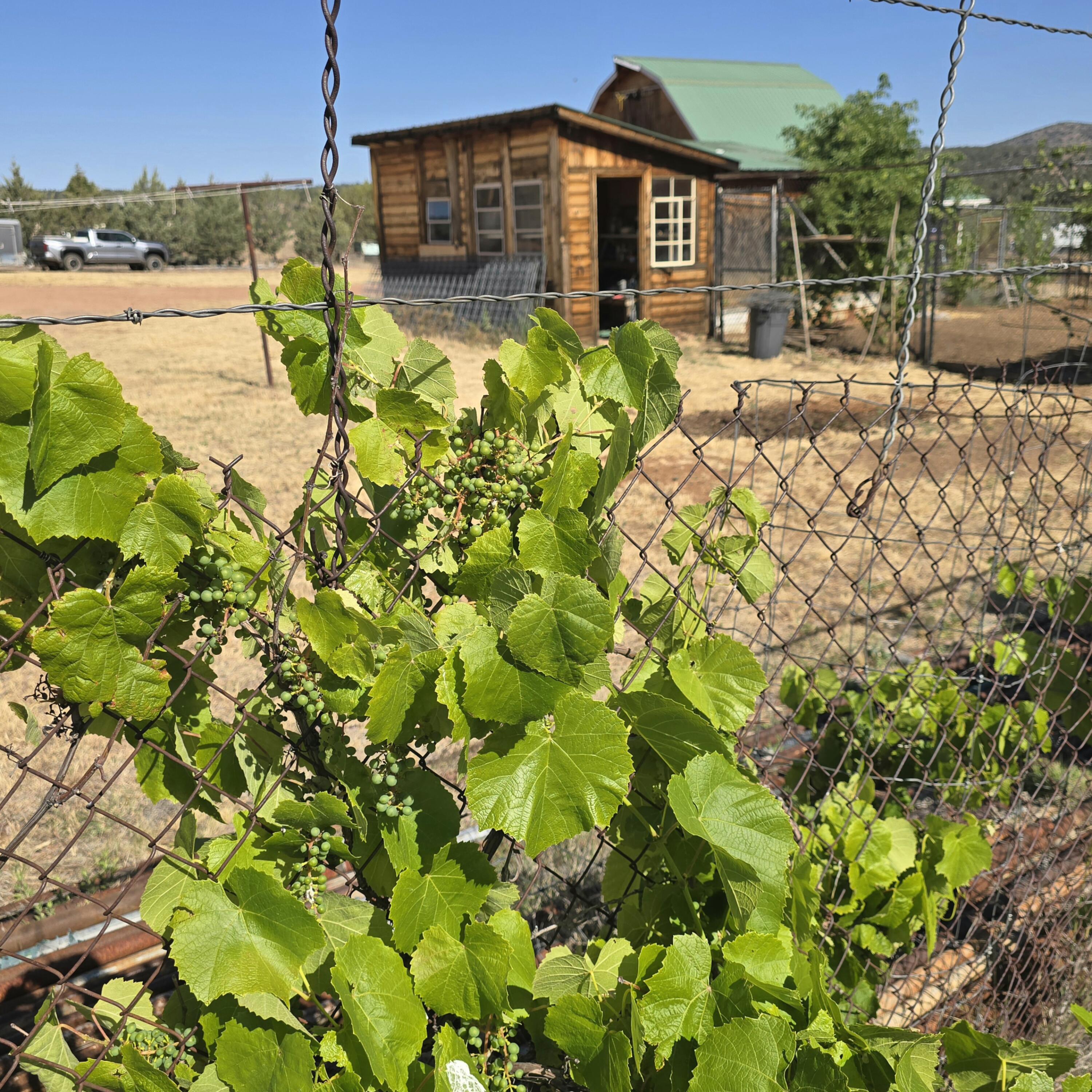 624 Baker Ranch Road Young, AZ 85554 - Photo 70 of 96