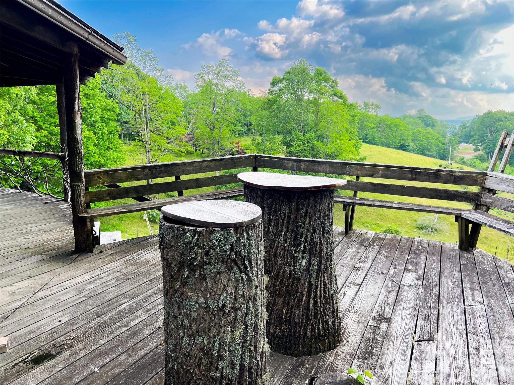 745 Broom Road Tuckasegee, NC 28783 - Photo 15 of 42 a view of a chairs and table in the patio