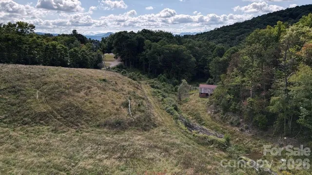 a view of a bunch of trees in a field