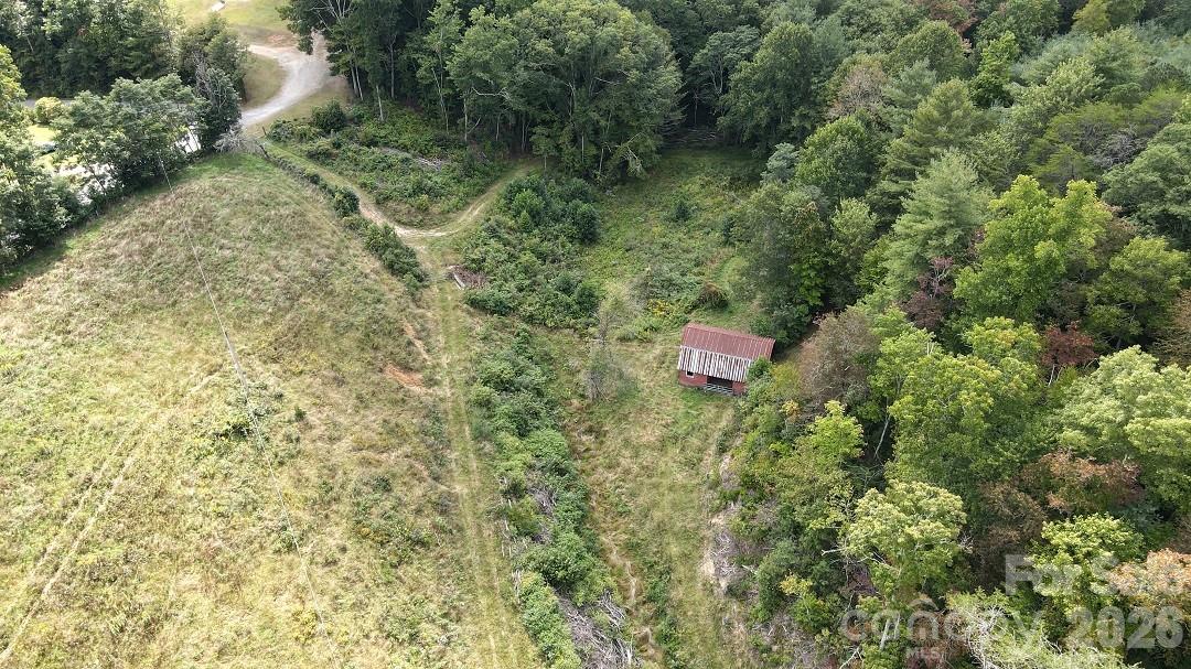 745 Broom Road Tuckasegee, NC 28783 - Photo 31 of 42 a view of a forest with a tree