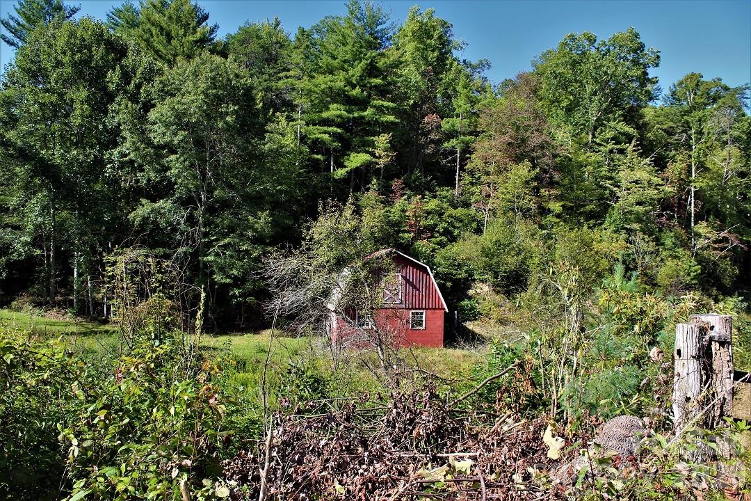 745 Broom Road Tuckasegee, NC 28783 - Photo 32 of 42 a view of a garden