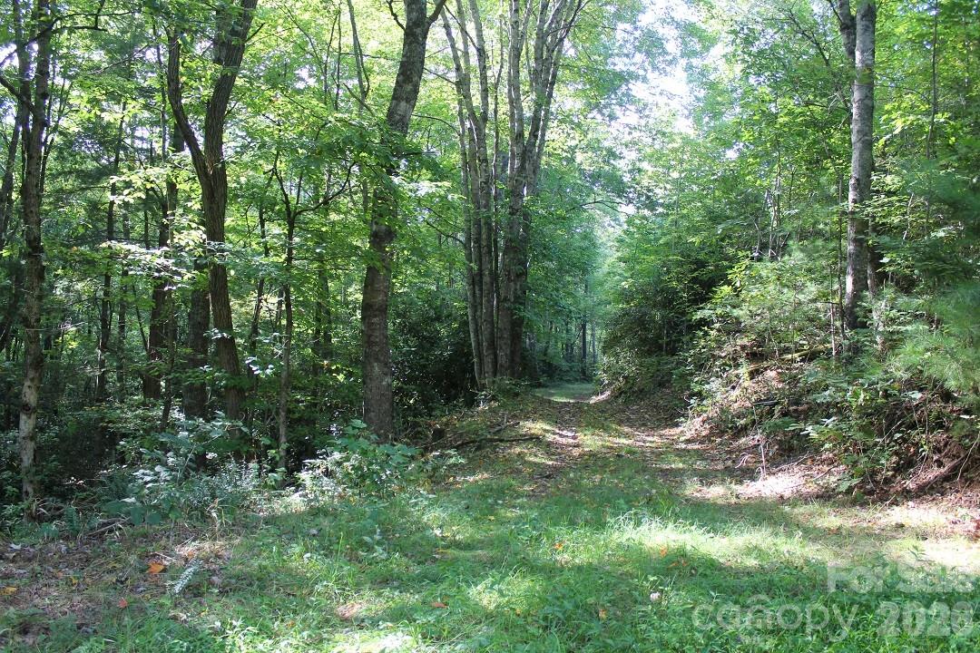 745 Broom Road Tuckasegee, NC 28783 - Photo 35 of 42 a view of outdoor space and green space