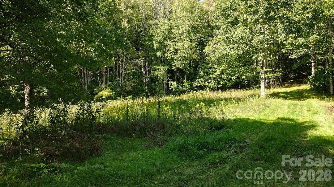 745 Broom Road Tuckasegee, NC 28783 - Photo 36 of 42 a view of backyard with green space