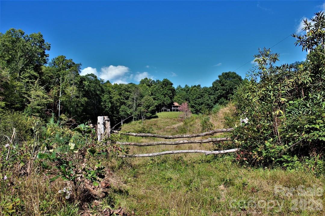 745 Broom Road Tuckasegee, NC 28783 - Photo 40 of 42 a view of a green yard