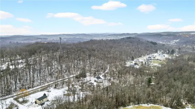 a view of a city with lush green forest