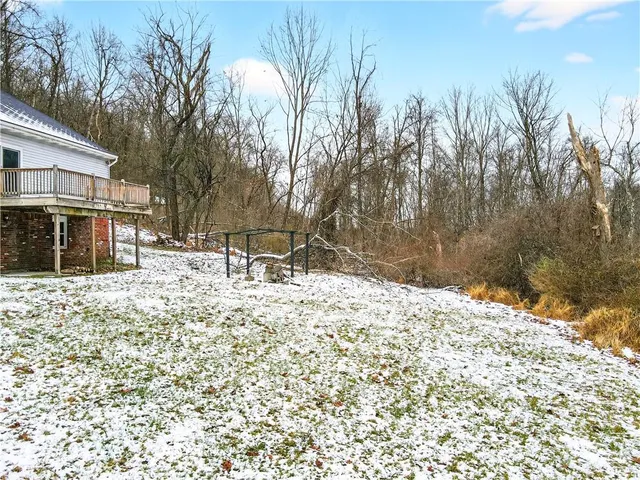 a view of river covered by trees