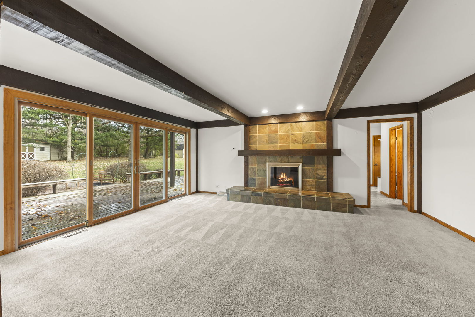 1150 Nottingham Lane Elgin, IL 60120 - Photo 6 of 33 a view of an empty room with a fireplace and a window