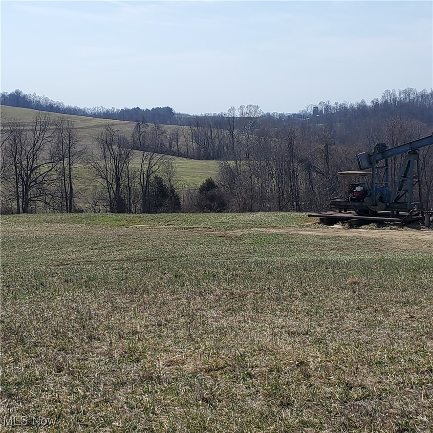 2229 Reeds Run Road Whipple, OH 45788 - Photo 15 of 28 Mountain view with a rural view