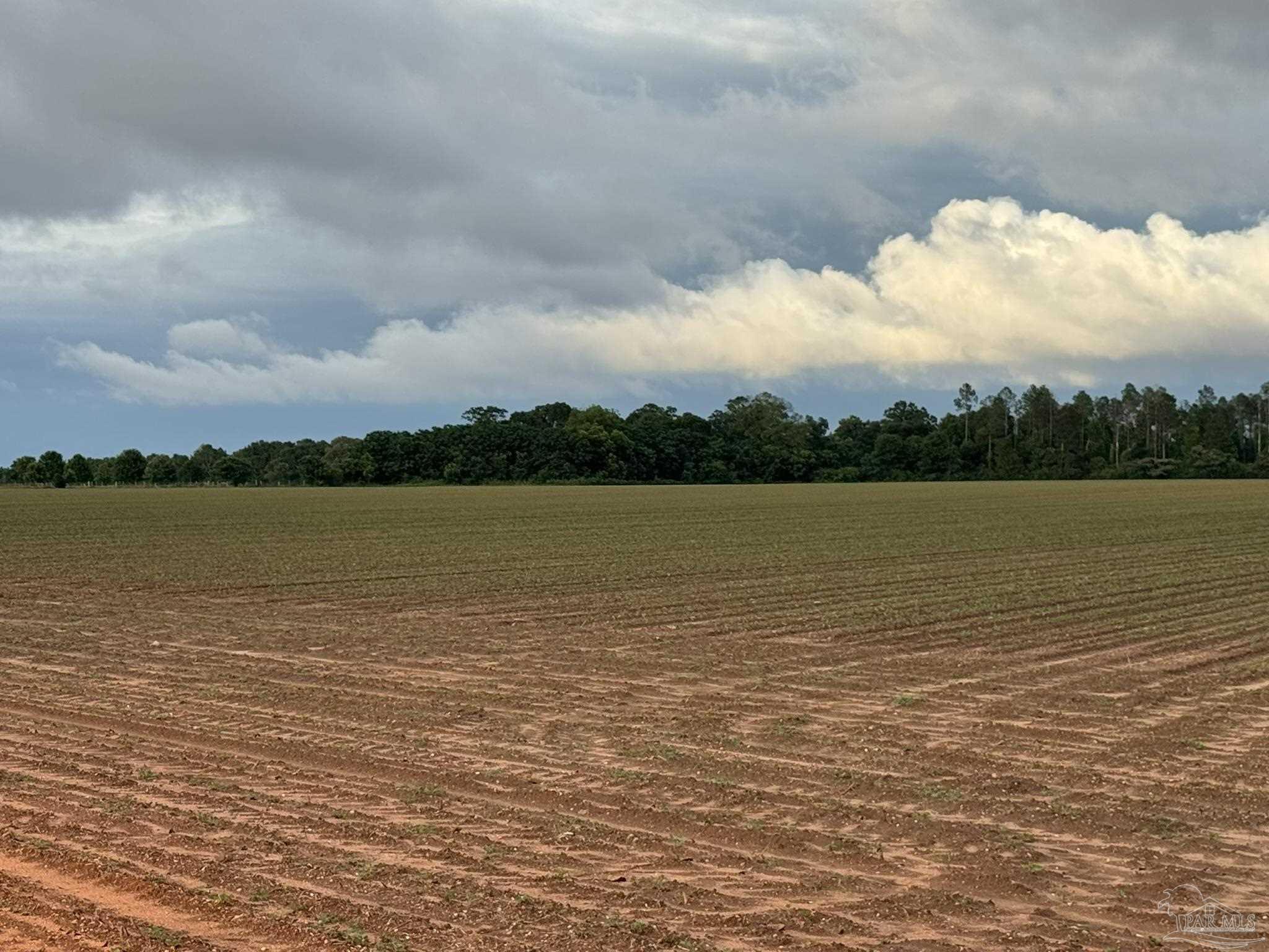 0 Old Stage Road Repton, AL 36475 - Photo 17 of 27