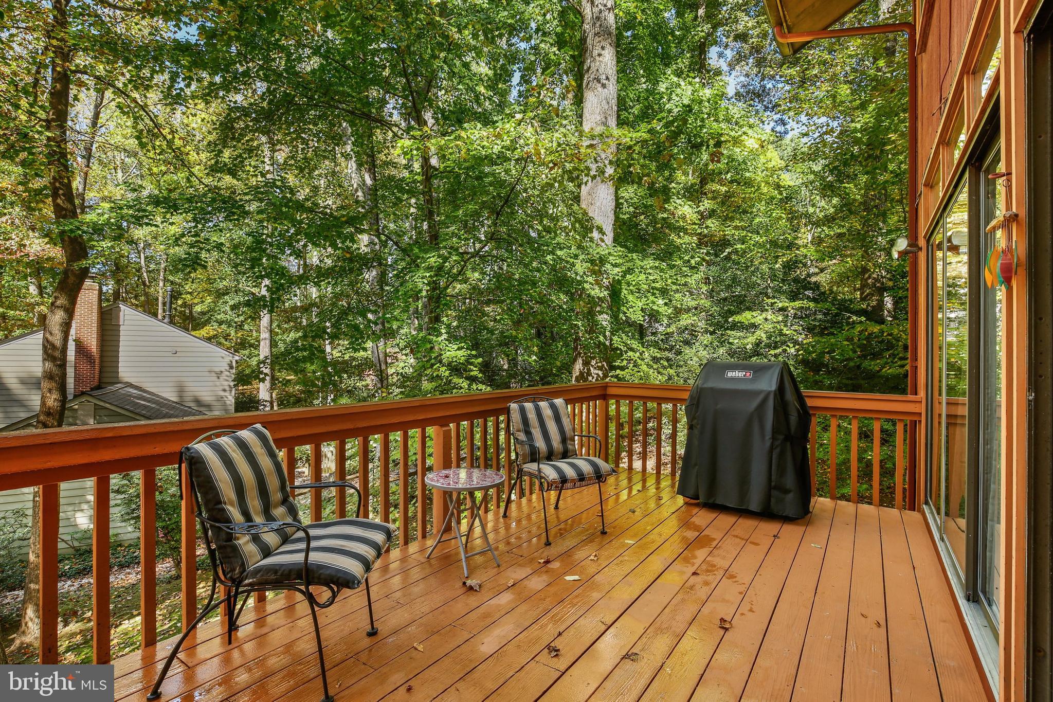 11096 Swansfield Road Columbia, MD 21044 - Photo 36 of 45 Gallery Image 36