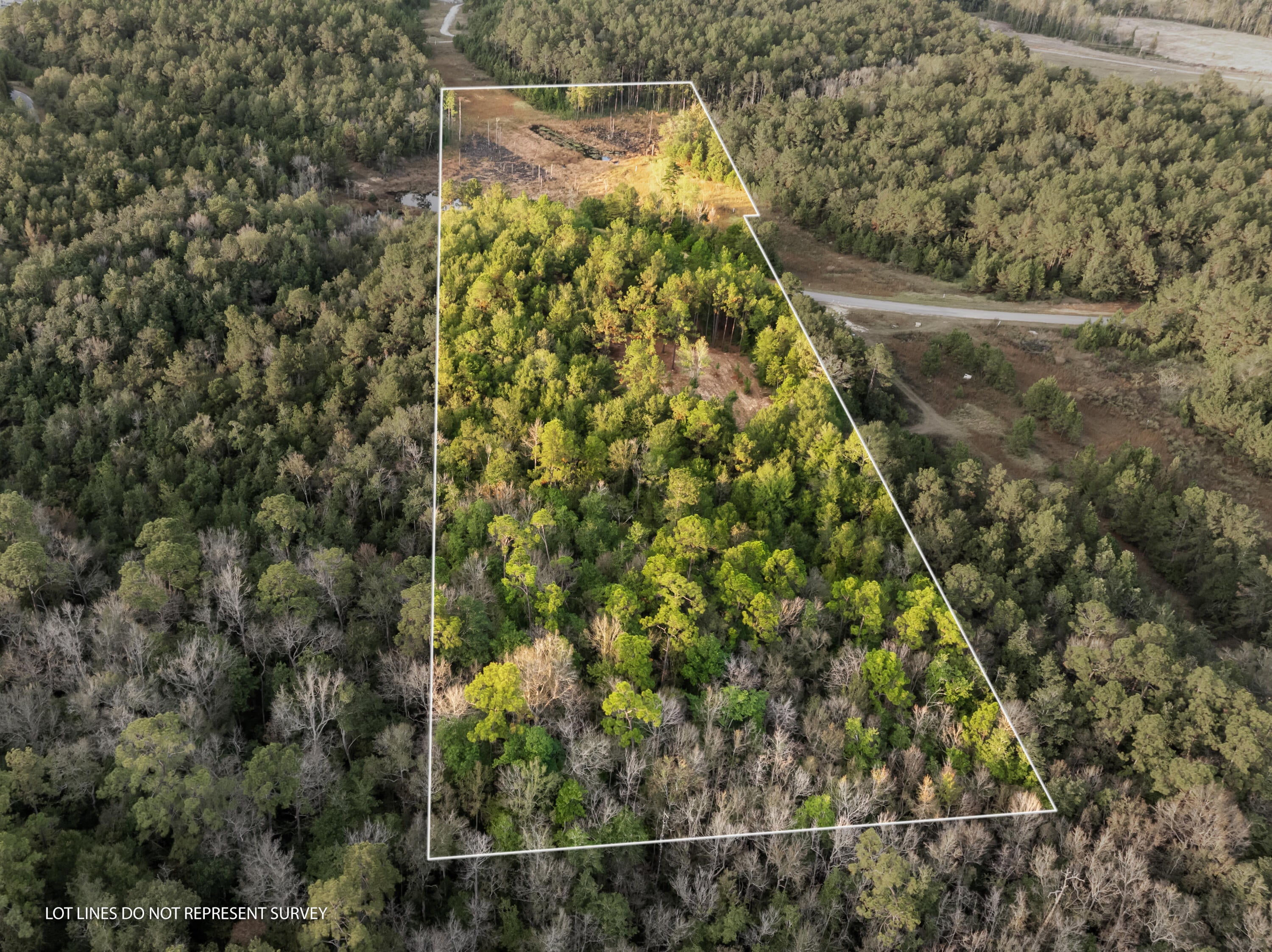 10.4 Pete Miles Road Lucedale, MS 39452 - Photo 1 of 25 00_Pete_Miles_Rd-1