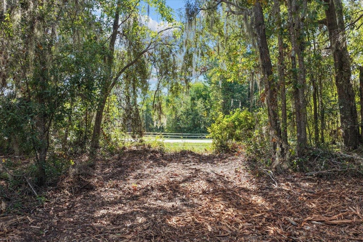 Vacant Northwest Little Cat Road Madison, FL 32340 - Photo 29 of 40 Gallery Image 29