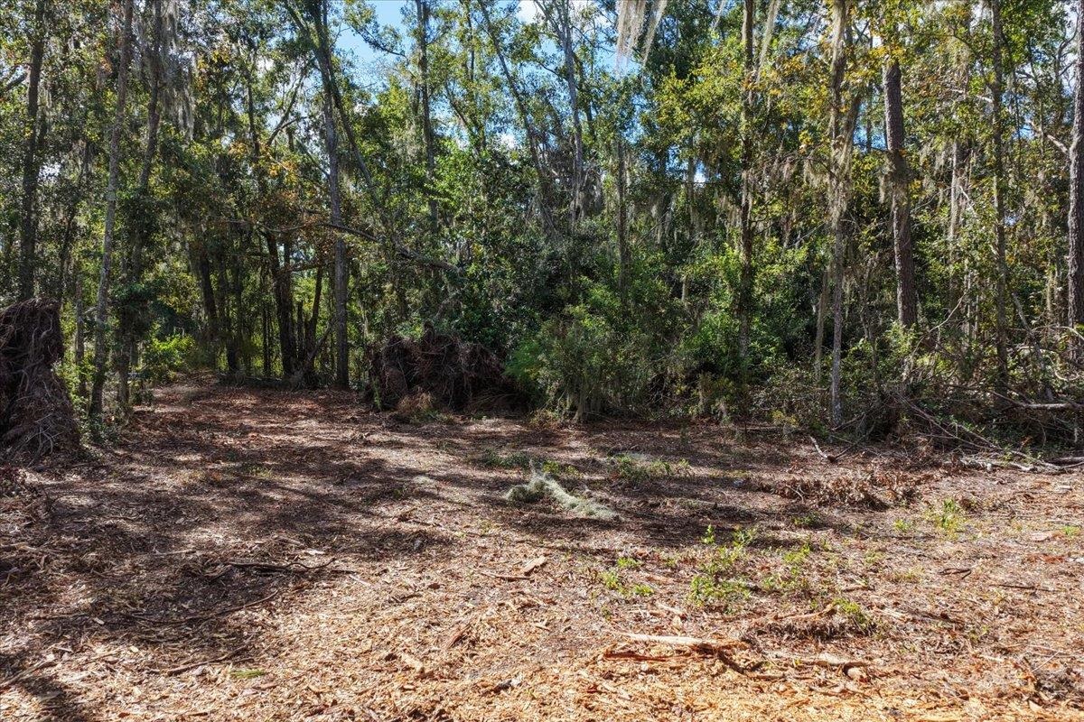 Vacant Northwest Little Cat Road Madison, FL 32340 - Photo 36 of 40 Gallery Image 36