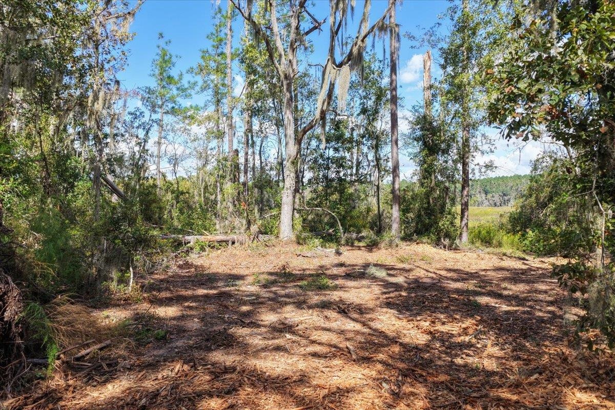 Vacant Northwest Little Cat Road Madison, FL 32340 - Photo 39 of 40 Gallery Image 39