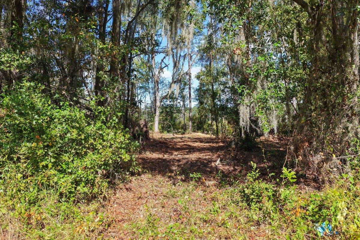 Vacant Northwest Little Cat Road Madison, FL 32340 - Photo 40 of 40 Gallery Image 40