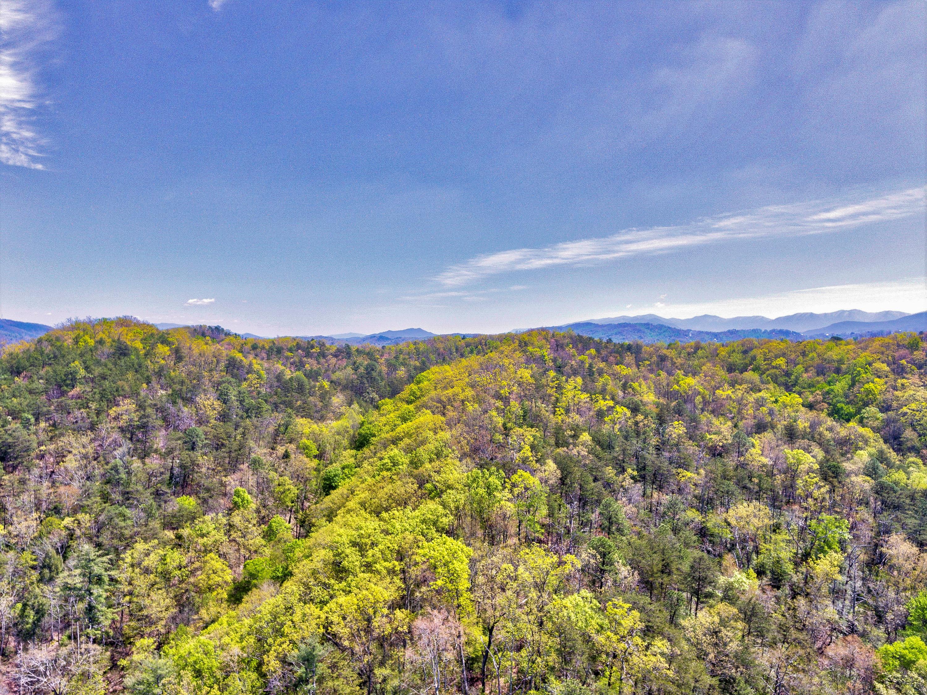 Off Caney Creek Road Pigeon Forge, TN 37863 - Photo 22 of 36 Caney Creek Rd-5 (2)