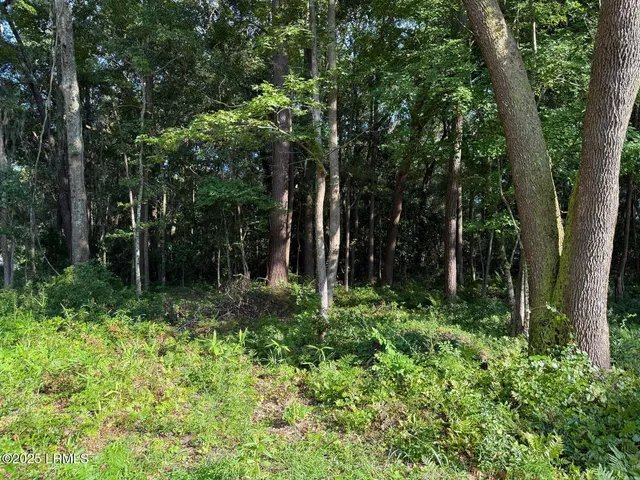 $95,000 | 23 Joe Frazier Road, Burton, SC 29906