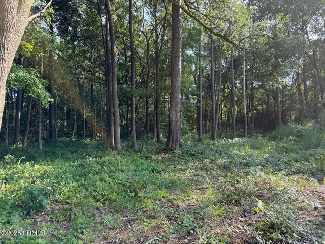 $95,000 | 23 Joe Frazier Road, Burton, SC 29906