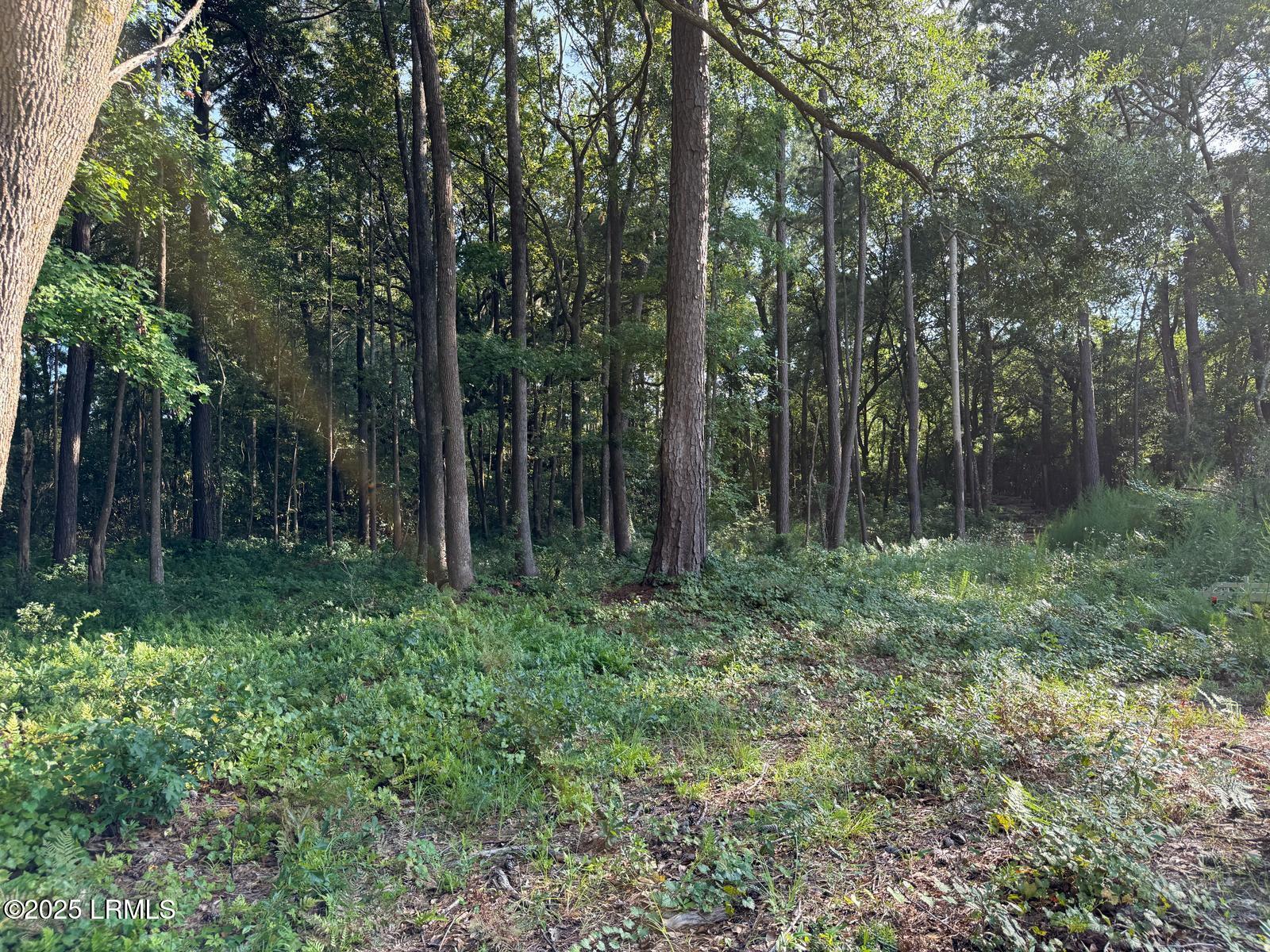 23 Joe Frazier Road Burton, SC 29906 - Photo 3 of 6 Image 3