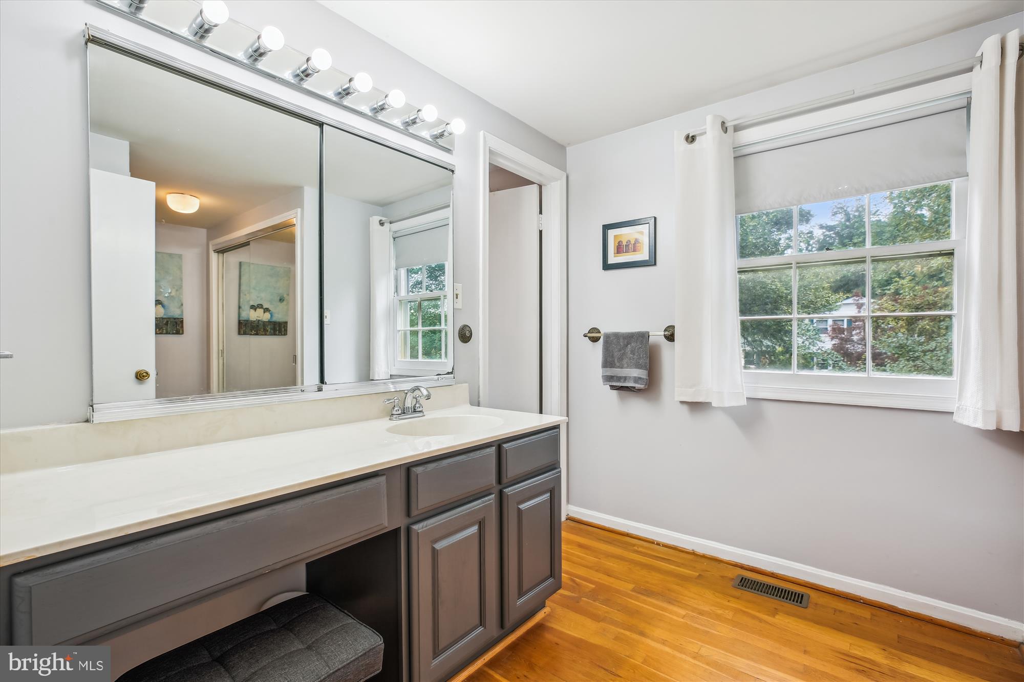 3109 Birchtree Lane Silver Spring, MD 20906 - Photo 33 of 100 Vanity
