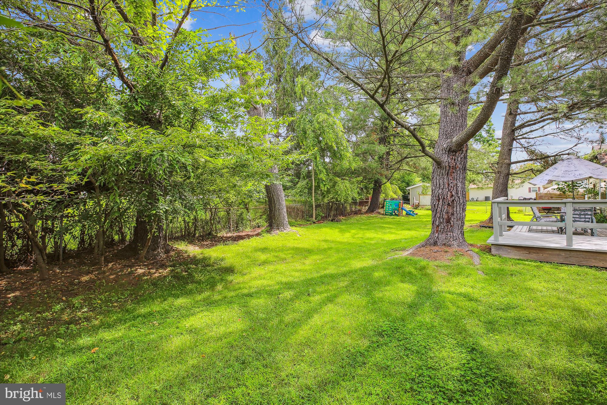 3109 Birchtree Lane Silver Spring, MD 20906 - Photo 61 of 100 Back Yard