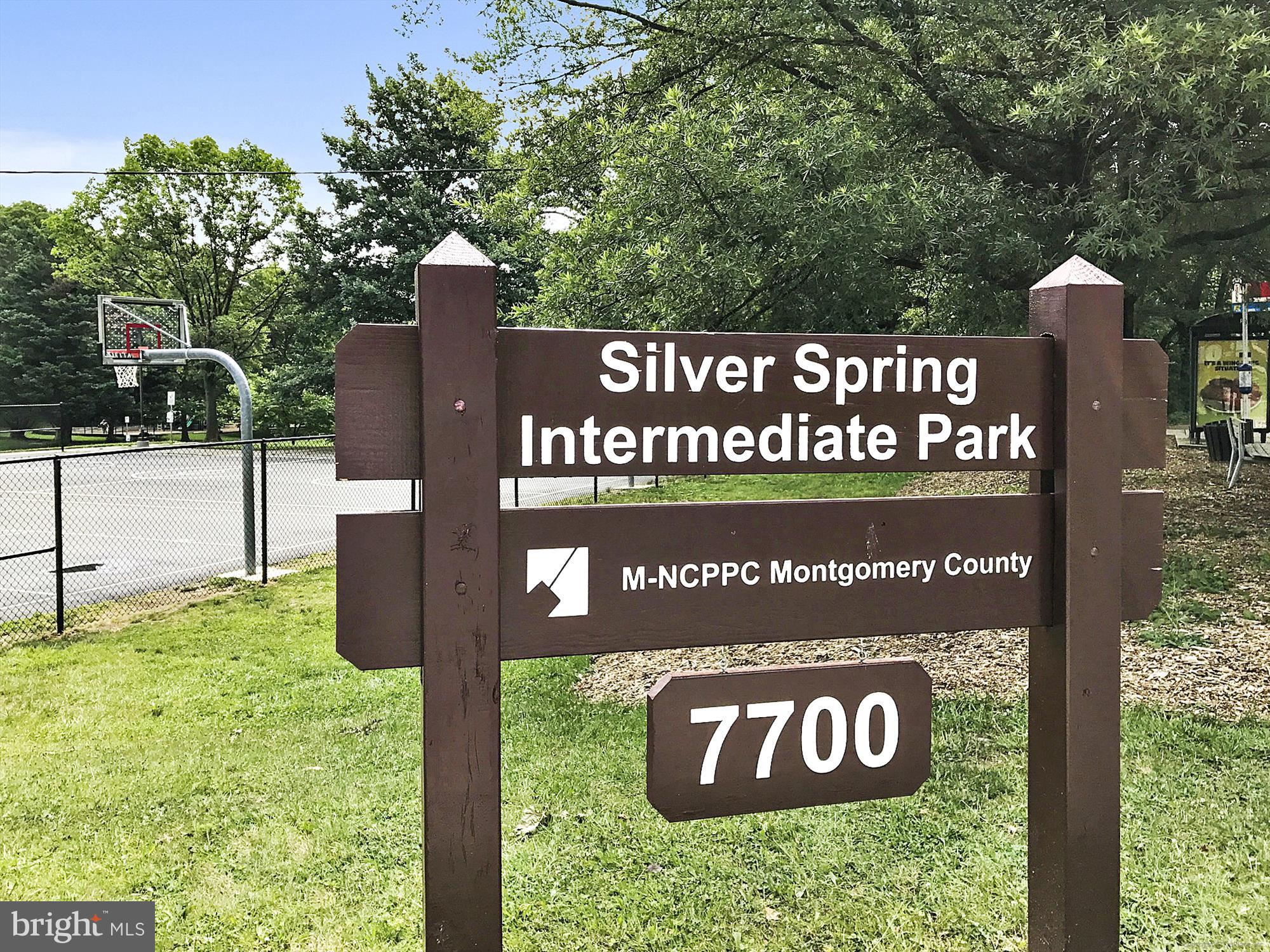 3109 Birchtree Lane Silver Spring, MD 20906 - Photo 85 of 100 Silver Spring Intermediate Park