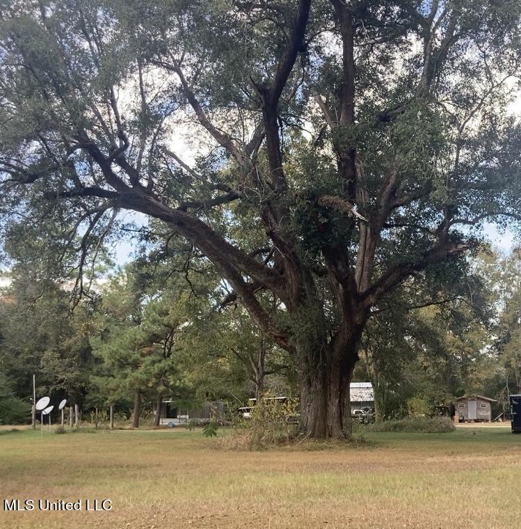 3335 Big Point Road Moss Point, MS 39562 - Photo 3 of 9 oak
