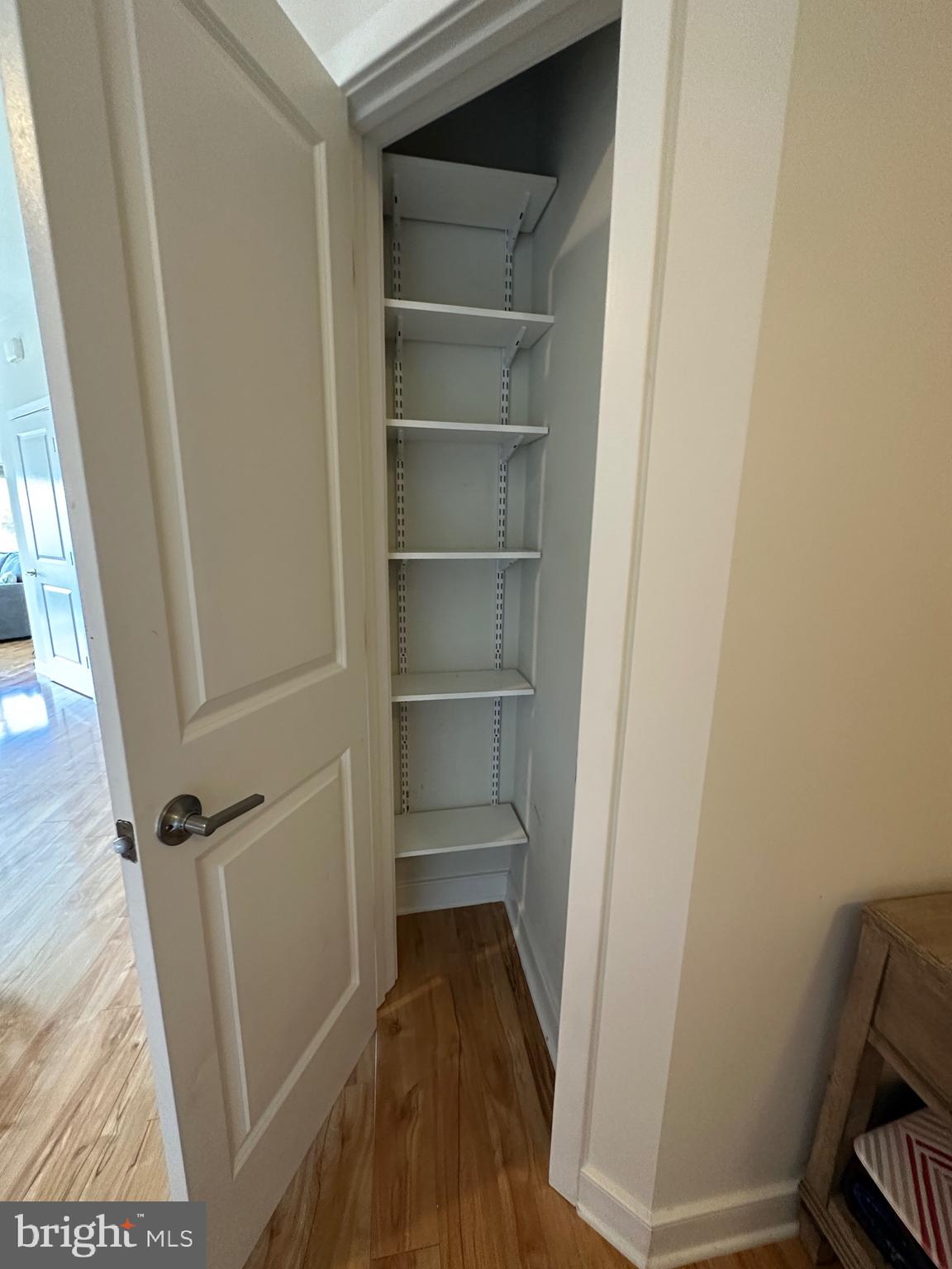 8005 13th Street, Unit 408 Silver Spring, MD 20910 - Photo 9 of 24 a view of walk in closet with empty racks