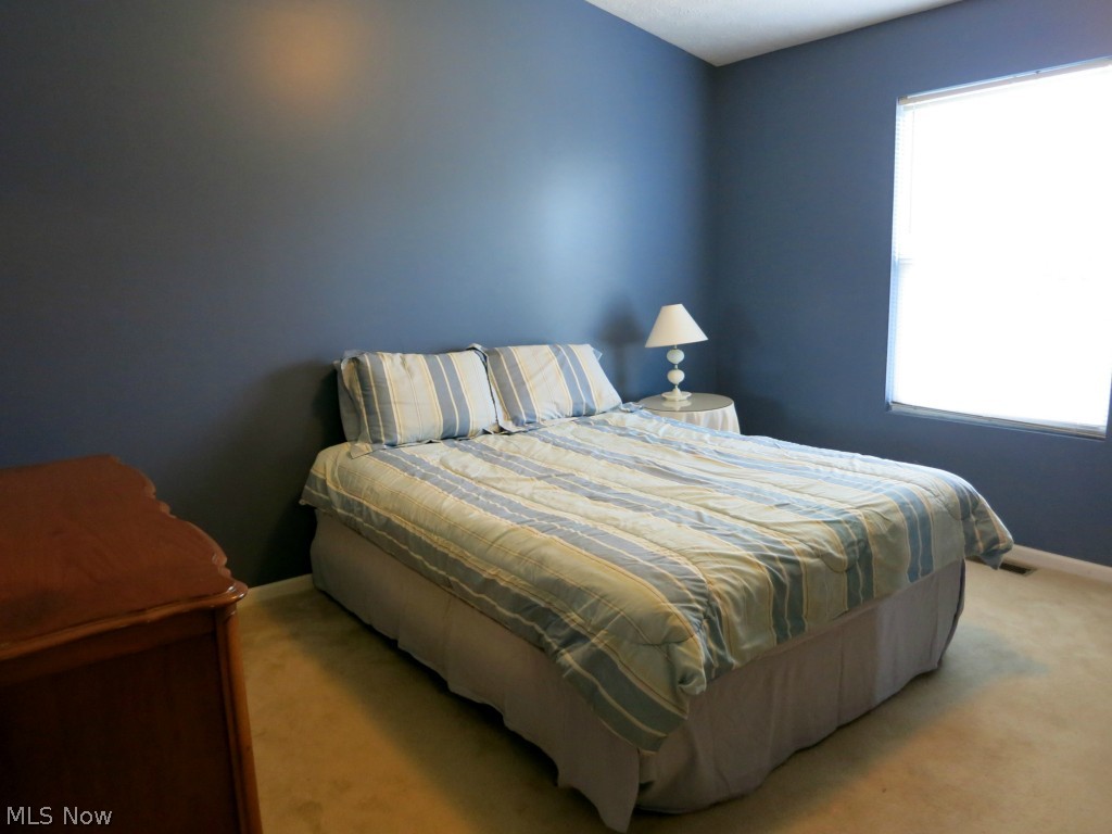 1096 Wadsworth Road Medina, OH 44256 - Photo 11 of 20 Master bedroom
