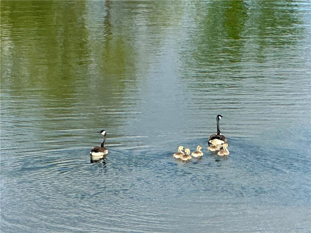 2403 Southwest Meadow Lake Road Ottawa, KS 66067 - Photo 9 of 19